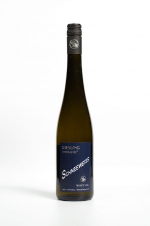 Riesling Federspiel 2023