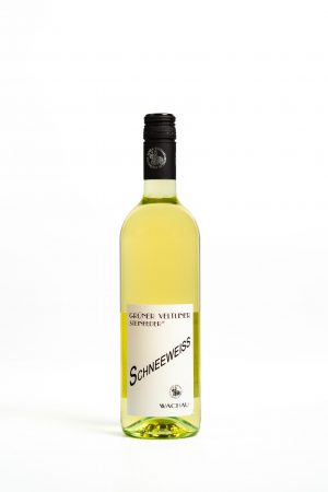 Grüner Veltliner Steinfeder 2024