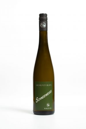 Sauvignon Blanc 2023